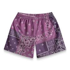 Bravest studio mesh shorts purple paisley print