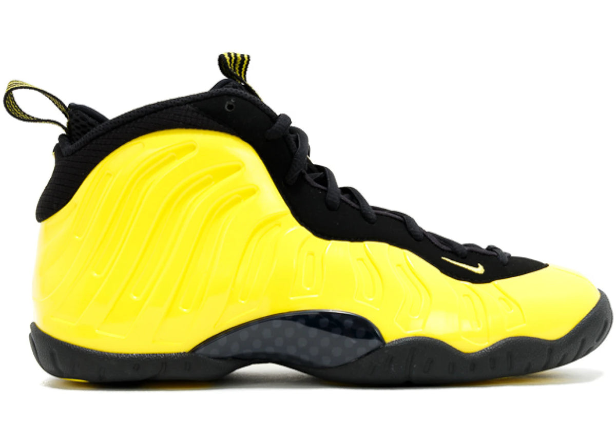 Nike Air Foamposite One Wu-Tang (GS)