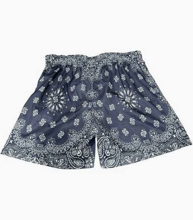 Bravest studio shorts paisley print grey