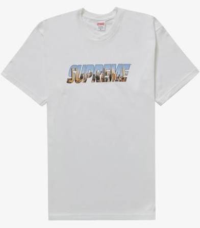 Supreme New York White tee