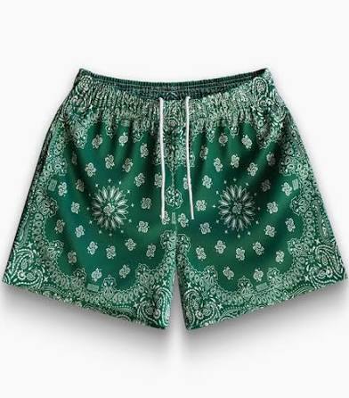 Bravest Paisley print green mesh shorts