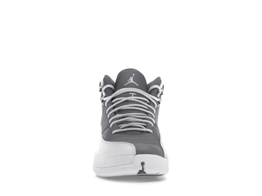 Jordan 12 Retro Stealth (GS)